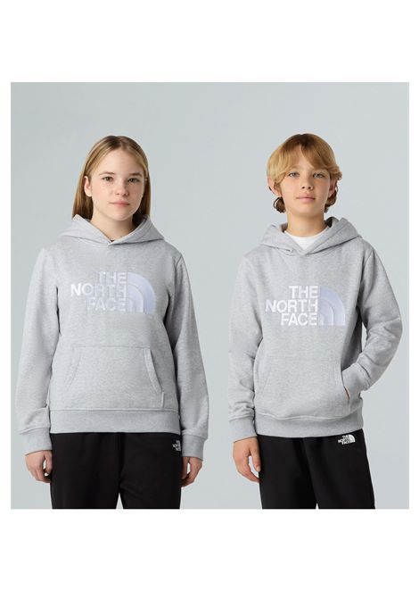 The North face Drew Peak Hoodie Grey Junior - THE NORTH FACE